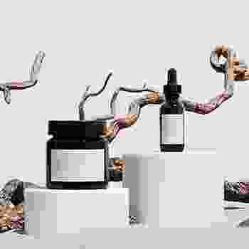 Image de la catégorie